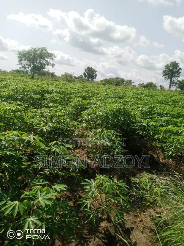 3000 Acres of Farm Land for Sale · Photo 3
