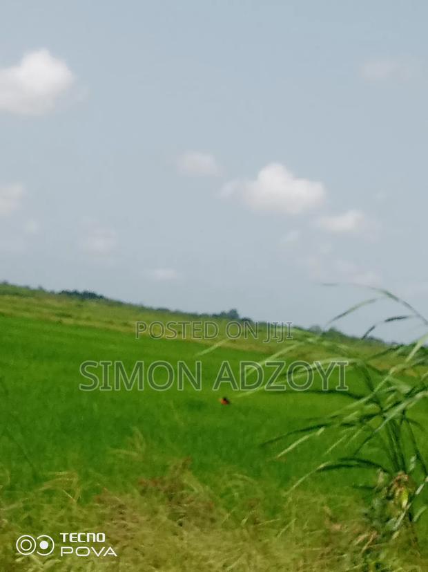 Rice Land for Rent Close to Volta Lake · Photo 1