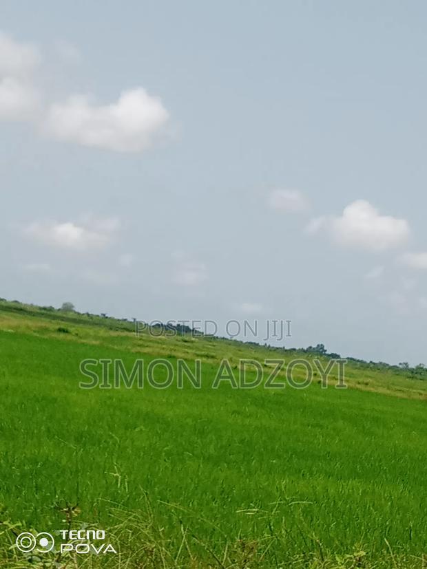 Rice Land for Rent Close to Volta Lake · Photo 2