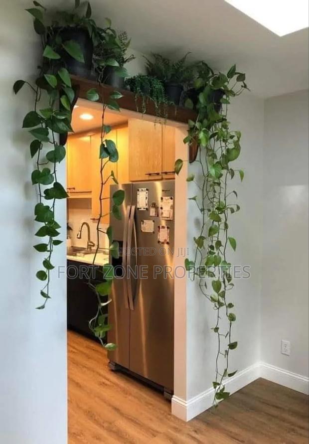 Home Flowering Services With Cleantex · Photo 1