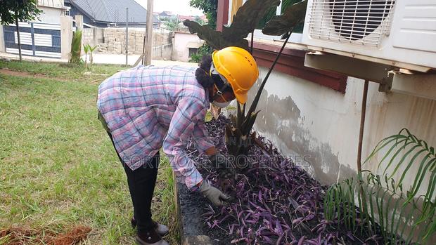 Home Flowering Services With Cleantex · Photo 4