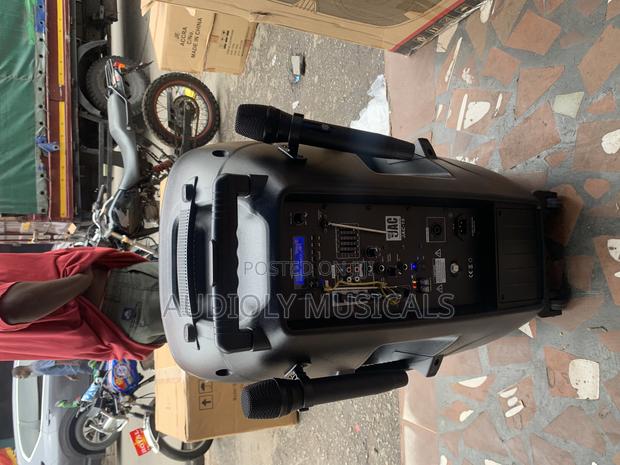 15- Inches Rechargeable With Two Mic and a Stand · Photo 2