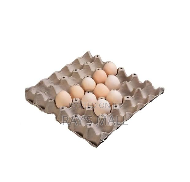 Paper Egg Crate · Photo 1