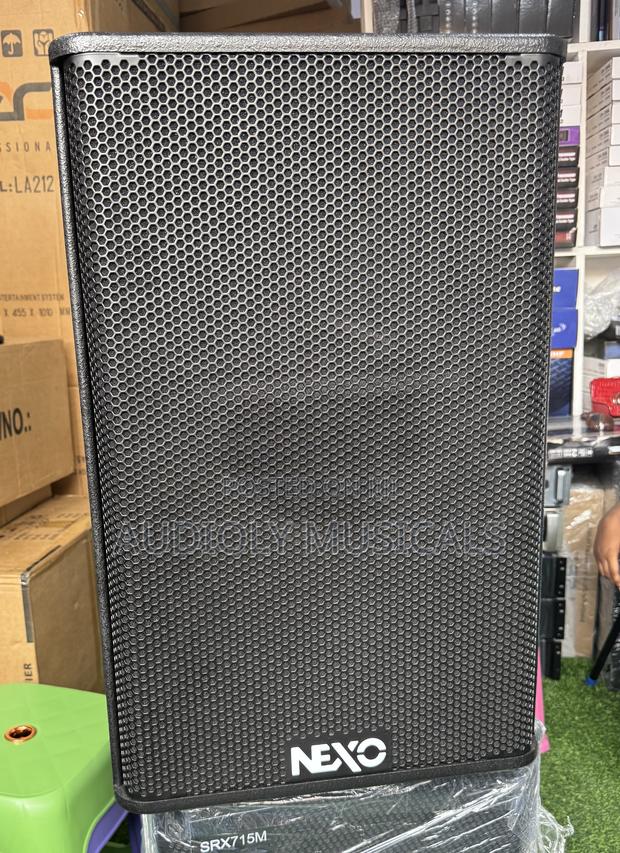 Nexo -15 -Inches Passive Speaker · Photo 5