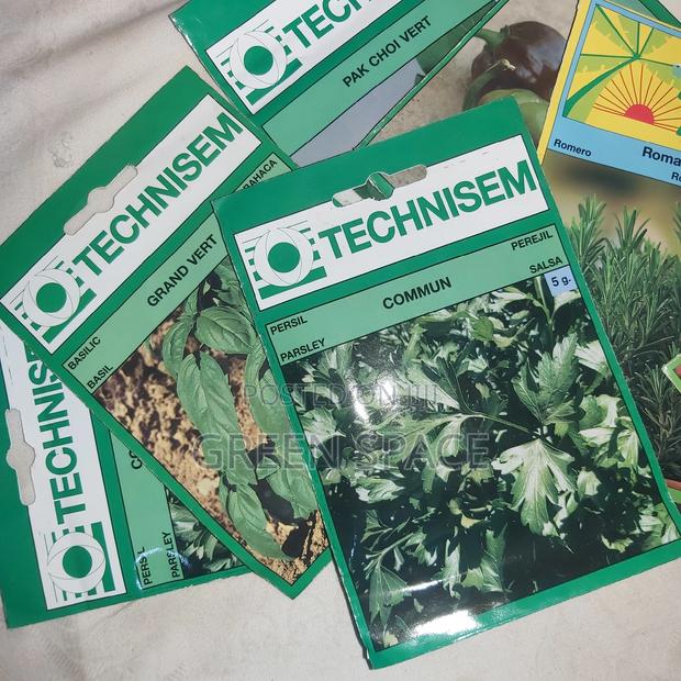 Vegetable Plant And Seeds For Sale · Photo 5