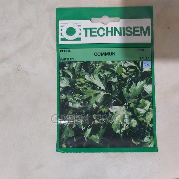 Parsley Seeds for Sale · Photo 2