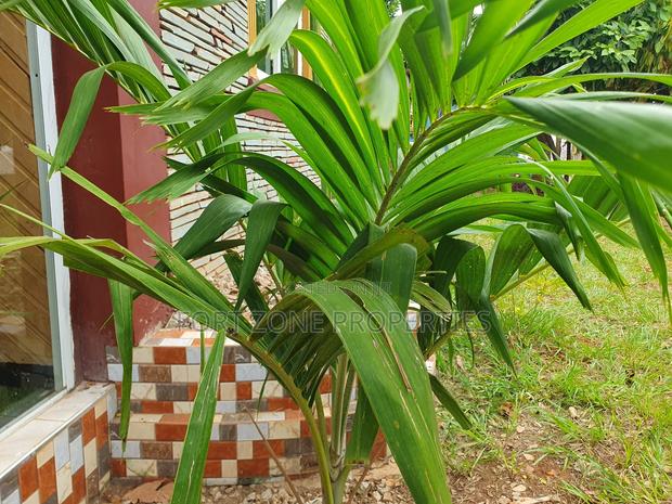 Flowers,Flower Ports,Landscaping Services With Cleantex · Photo 1