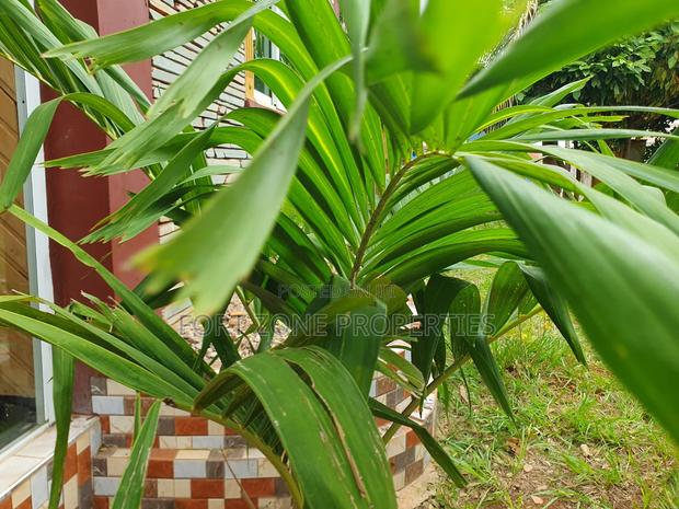 Flowers,Flower Ports,Landscaping Services With Cleantex · Photo 2