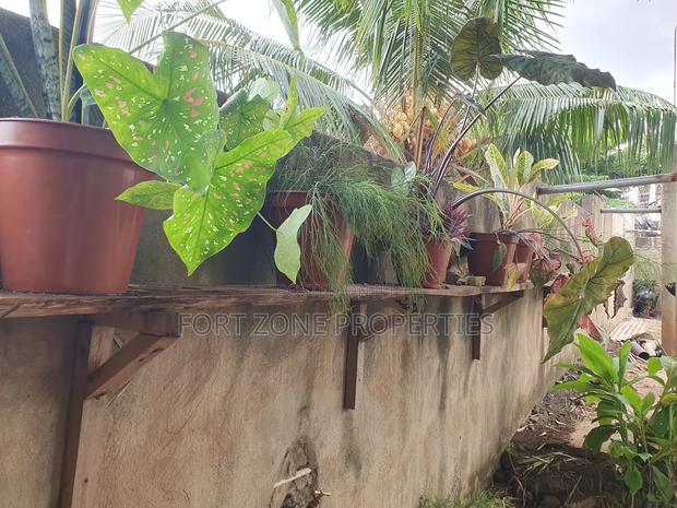 Flowers,Flower Ports,Landscaping Services With Cleantex · Photo 4