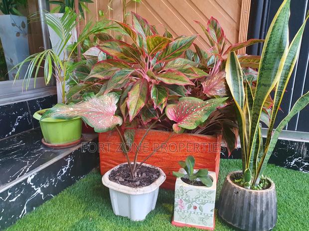 Cleantex Landscaping and Flowering Services With Cleantex · Photo 4