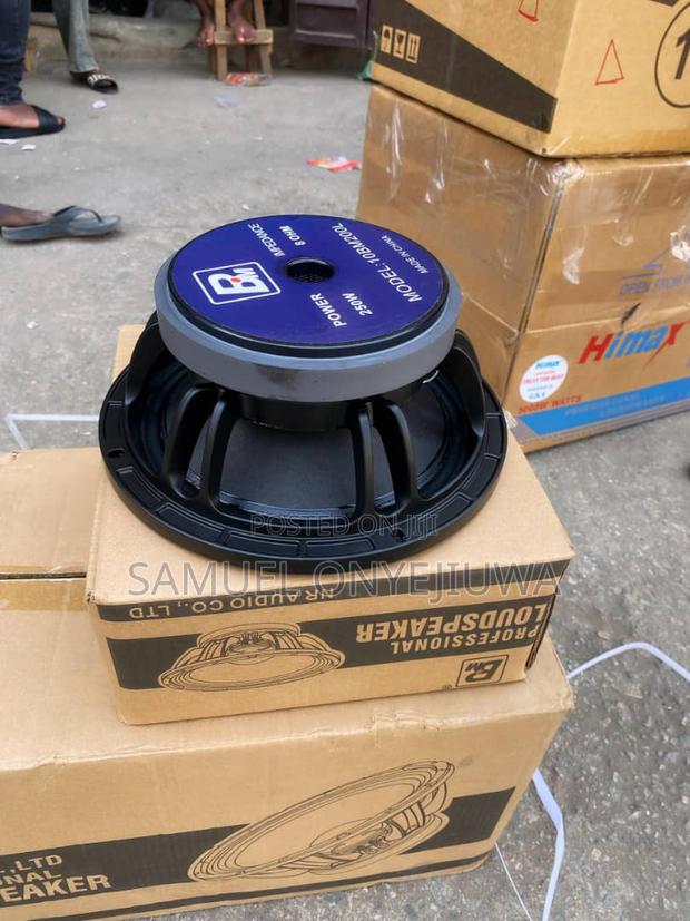 10 Inches Naked Speaker Big Magnet 8ohms. A Pair · Photo 1