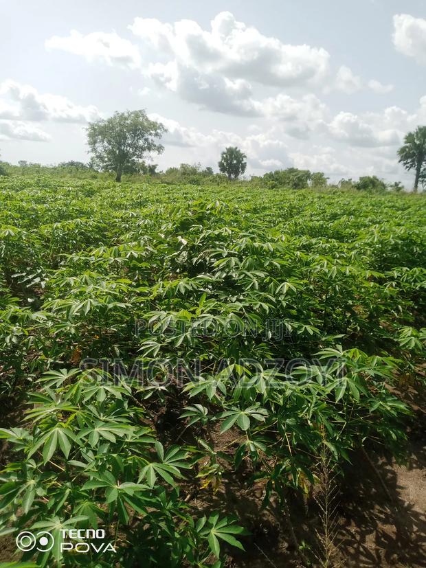 Full Registered Off 10 Acres of Land · Photo 1