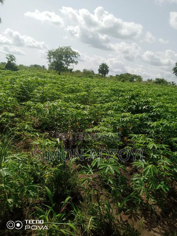 Full Registered Off 10 Acres of Land · Photo 2