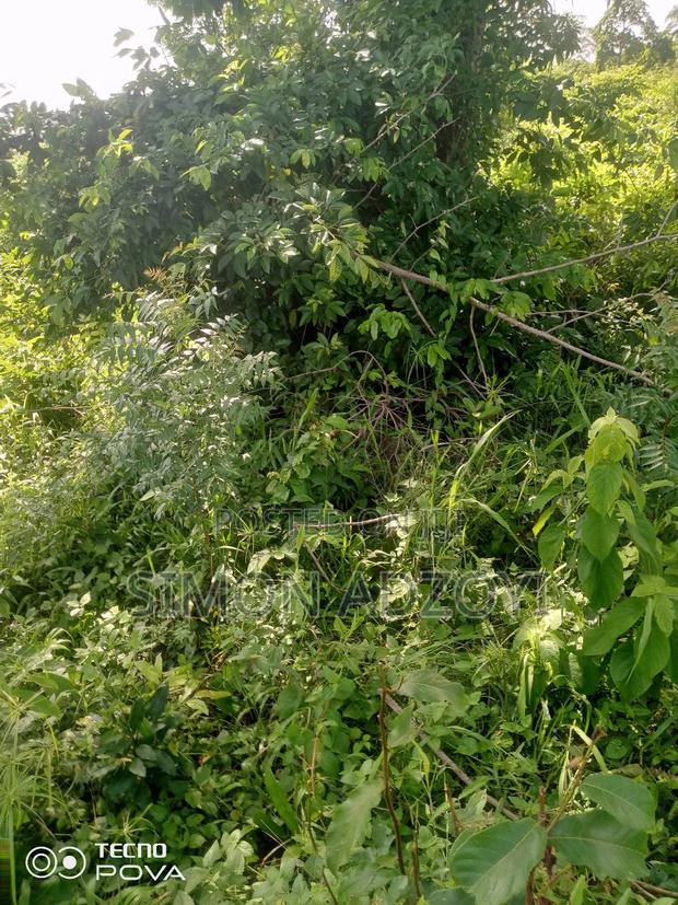 Full Registered Off 10 Acres of Land · Photo 3