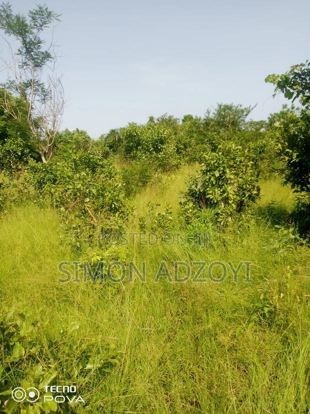 Full Registered Off 10 Acres of Land · Photo 4