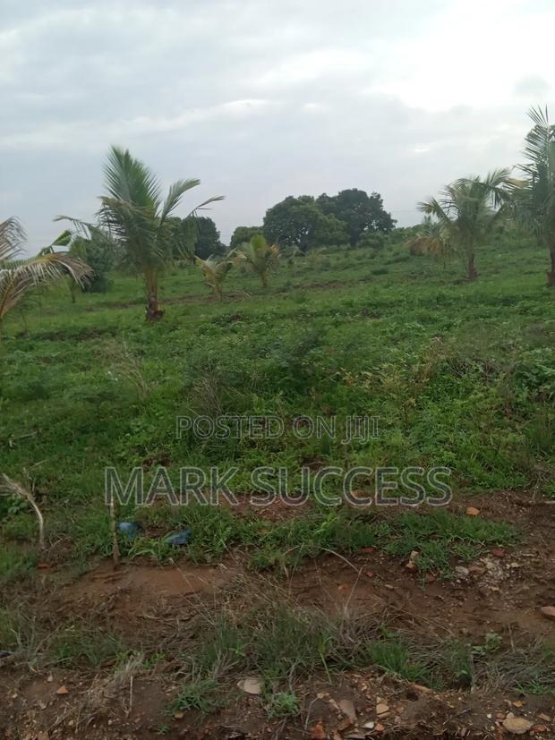 Acres of Titled Plots at Afienya -Kayokpo. Flexible Payments Available · Photo 4