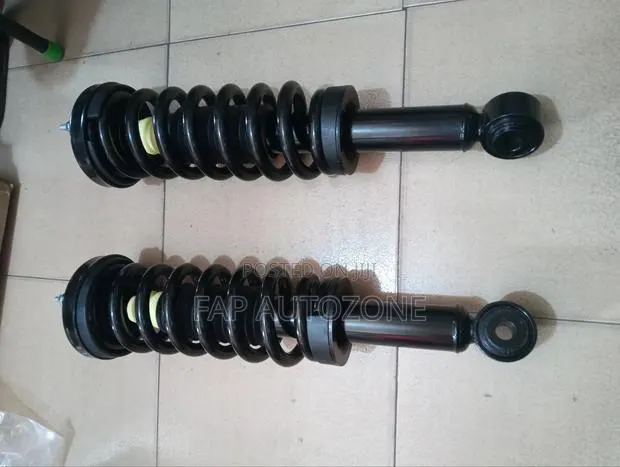 01213. Authentic Ultra Power F150 Complete Strut With Spring From USA · Photo 1