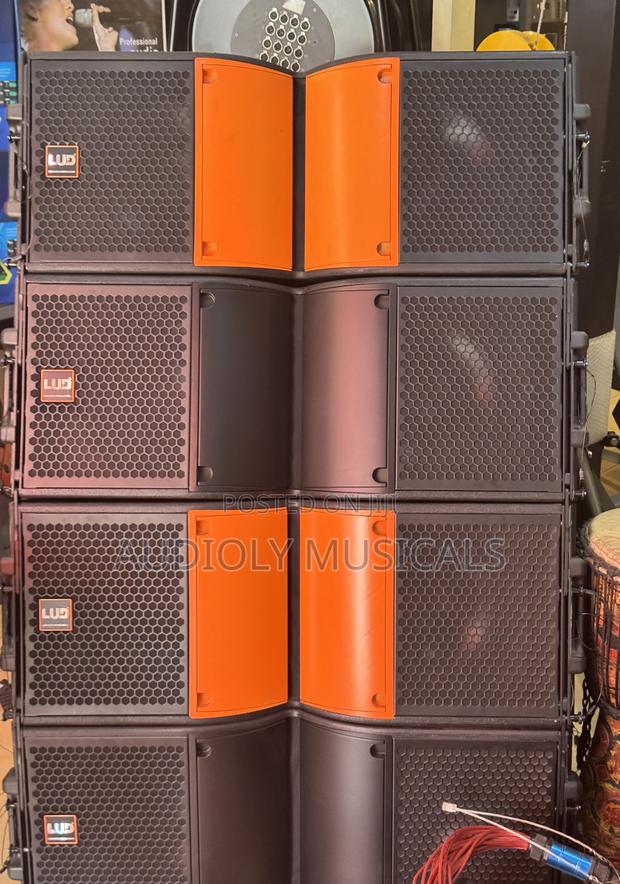 L U D 12-Inches Line Array · Photo 4