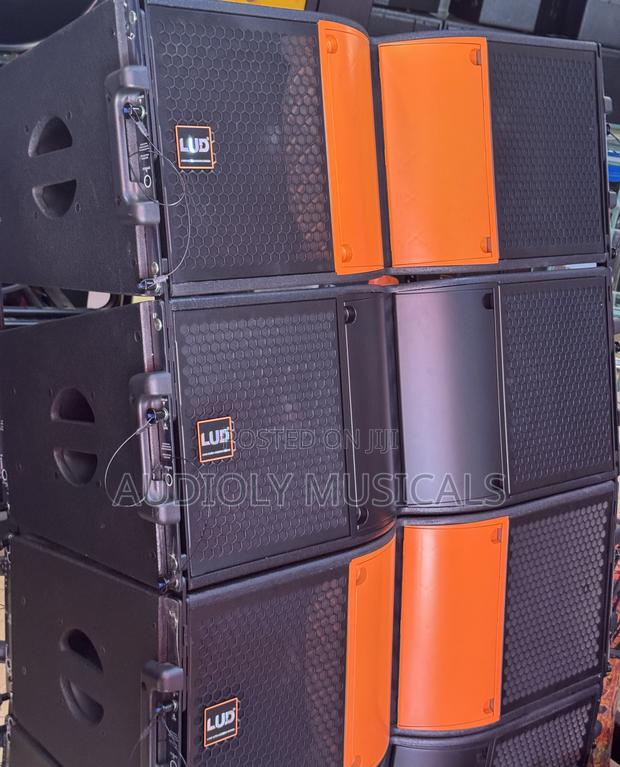 L U D 12-Inches Line Array · Photo 1