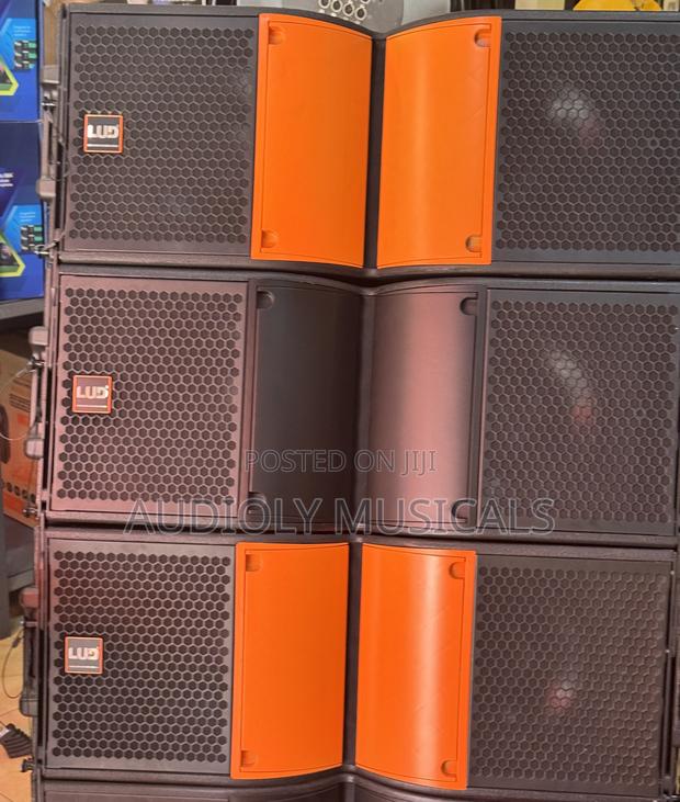 L U D 12-Inches Line Array · Photo 3