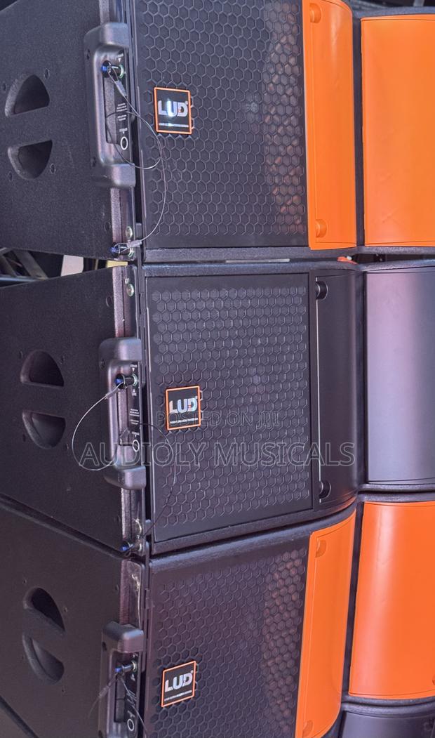 L U D 12-Inches Line Array · Photo 2