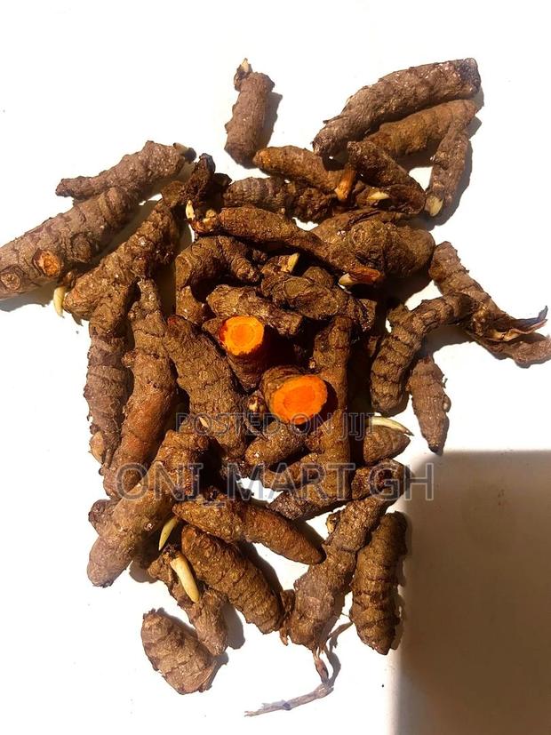 Fresh Organic Turmeric Root · Photo 1