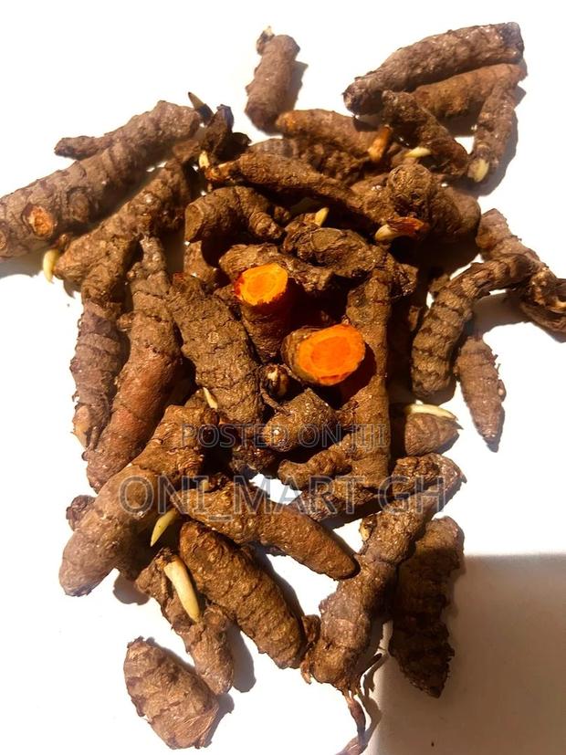 Fresh Organic Turmeric Root · Photo 5