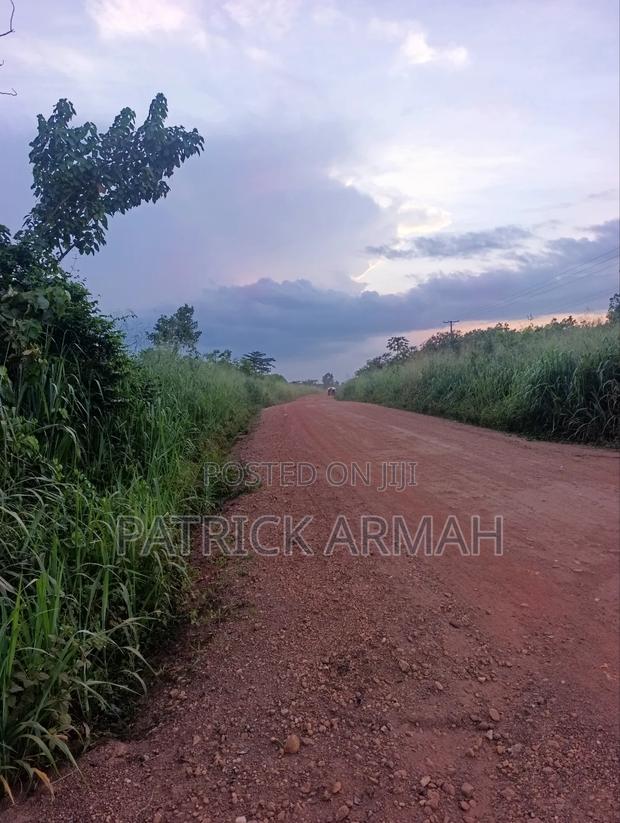 2 Roadside Plots at Ejisu Kwaso · Photo 2