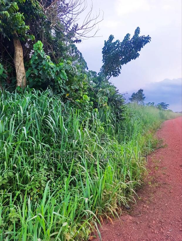 2 Roadside Plots at Ejisu Kwaso · Photo 3