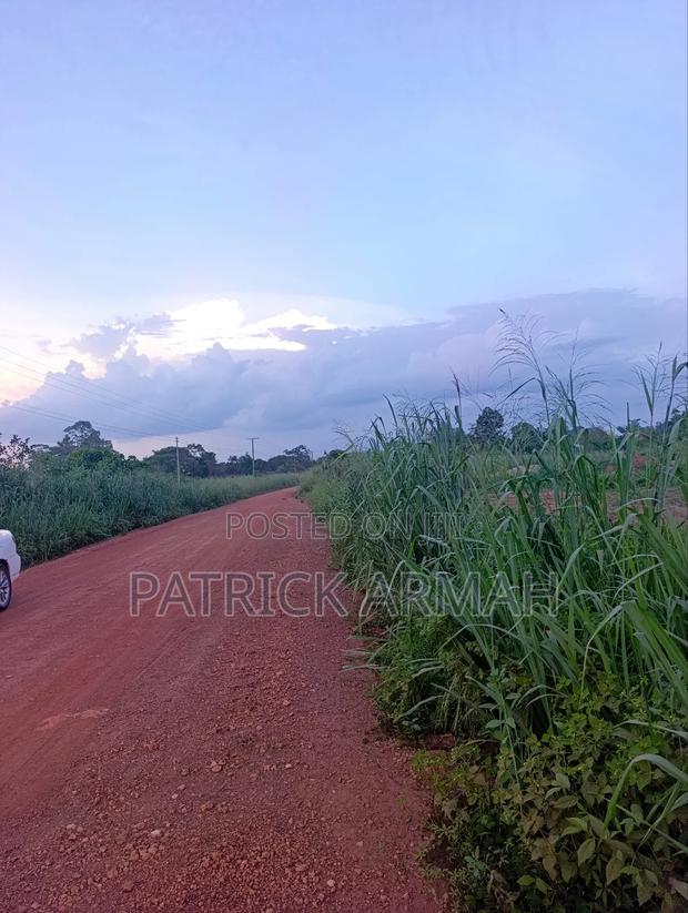 2 Roadside Plots at Ejisu Kwaso · Photo 4