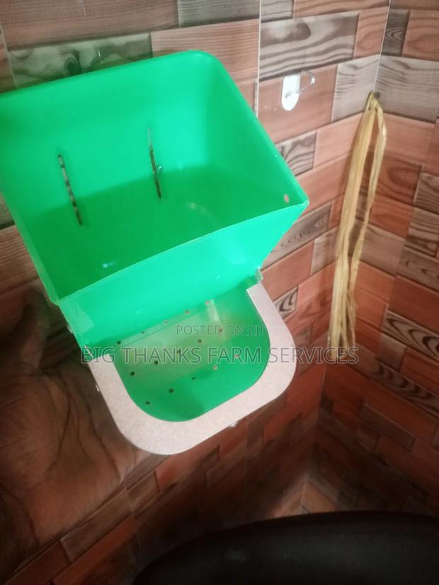 Rabbit J Feeders · Photo 1