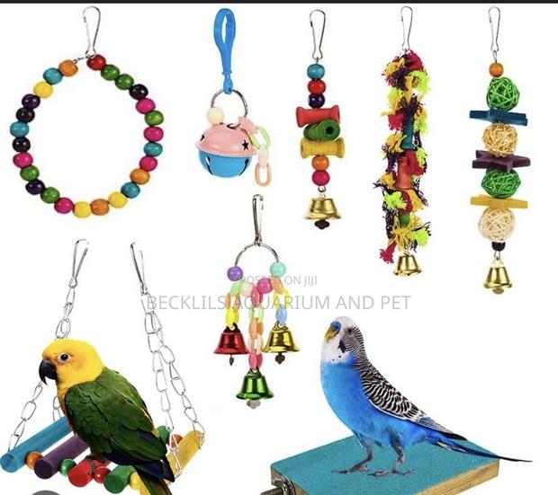 Bell Parrot Toys (For All Types of Birds) · Photo 1