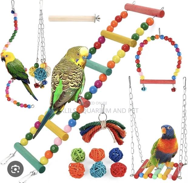Tophill Toys for Parrot · Photo 1