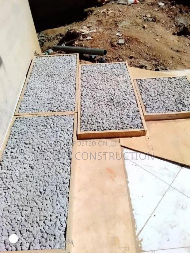 Are You Looking for a Biodigester System · Photo 5