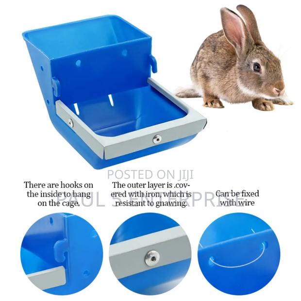 Rabbit Feeders Wholesale and Retail · Photo 3