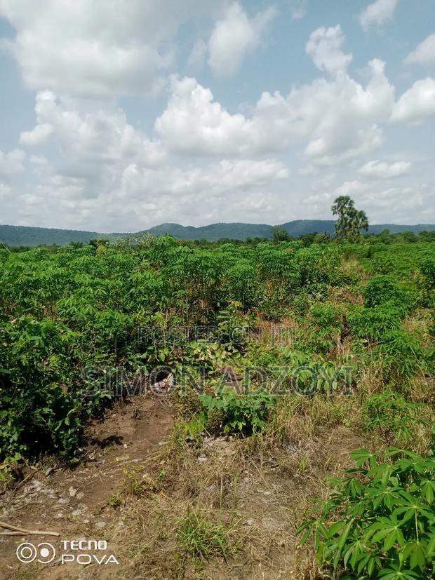 60 Acres Of Farm Land For Sale On The Mountain · Photo 1