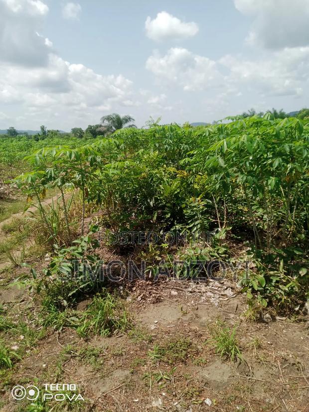 60 Acres Of Farm Land For Sale On The Mountain · Photo 2