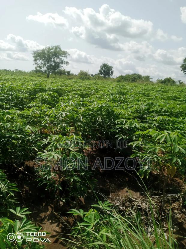 60 Acres Of Farm Land For Sale On The Mountain · Photo 3