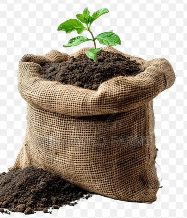 Black \ Loamy Soil · Photo 1