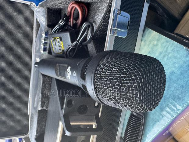 Evp- Audio Ewg-1 Professional Microphone · Photo 5