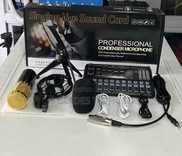 Professional Condenser Microphone · Photo 1
