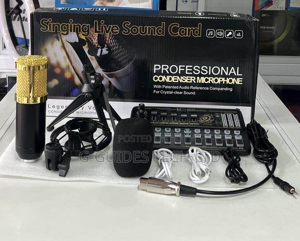 Professional Condenser Microphone · Photo 2