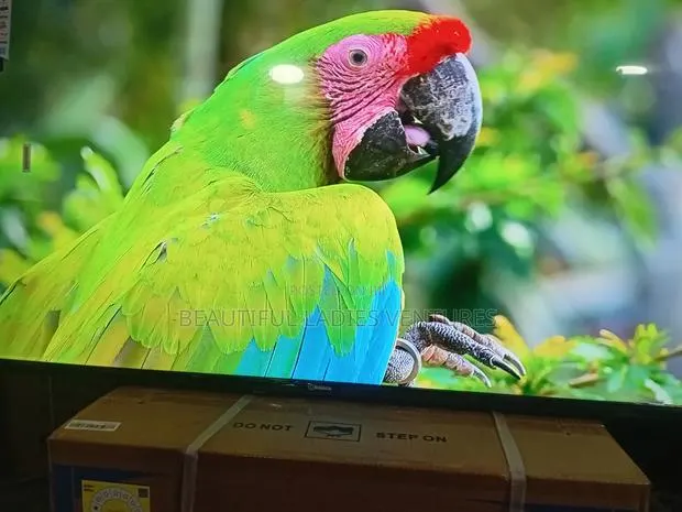 Sigma 55-Inch Smart Tv – Your Home Cinema Upgrade · Photo 1