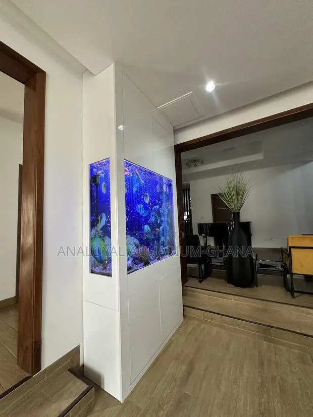 Three Sided View Aquarium · Photo 1