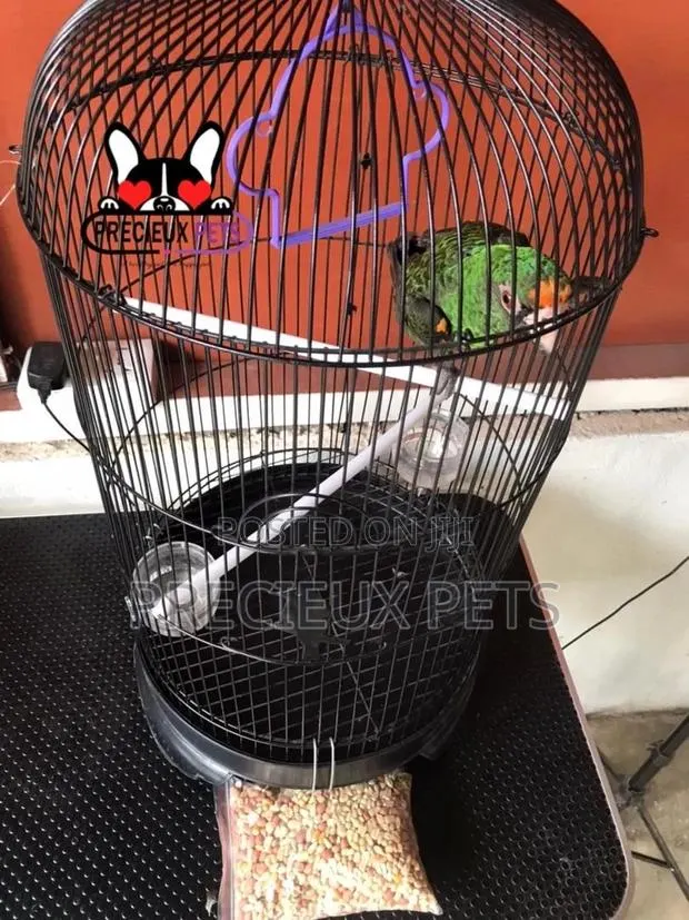 Jardine Parrot Cage Series 0003 · Photo 1