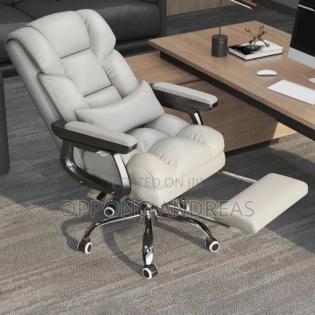 Soft Ergonomic Office Chair · Photo 1