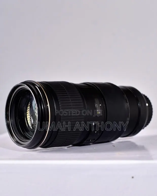 Nikon 70-200mm F4.0 ED IF Lens · Photo 1