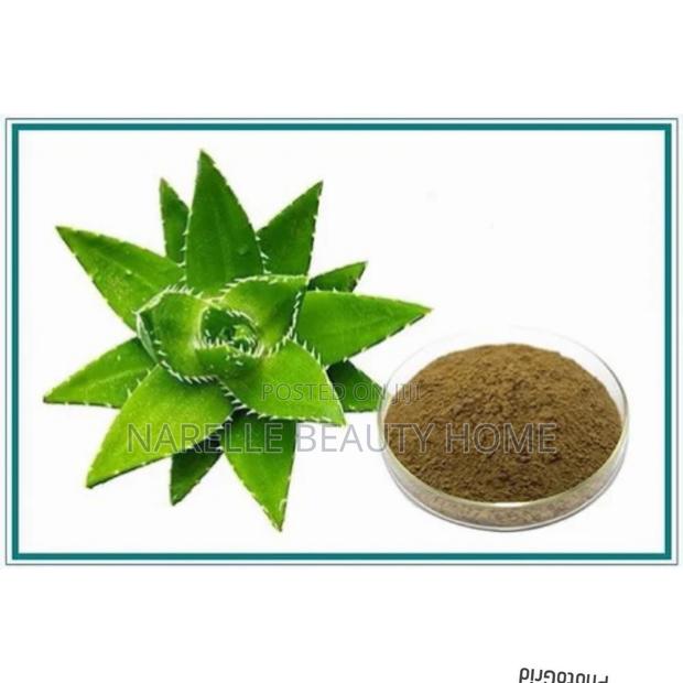 Aloe Vera Powder - 100g · Photo 1