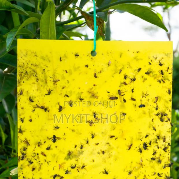 Fly Sticker · Photo 1