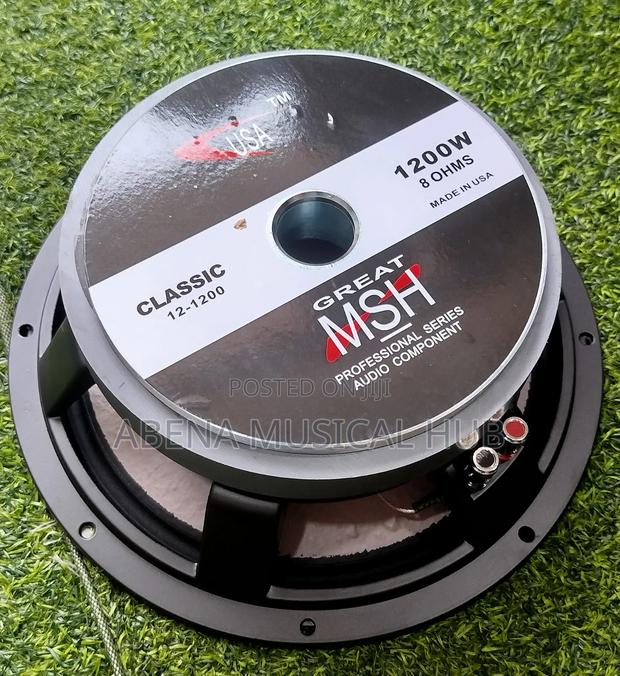 MSH- 12 Inches Double Magnet Line Arrays Speaker · Photo 3